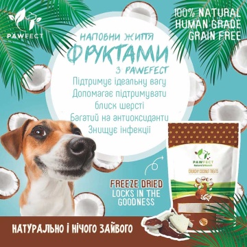 Ласощі для собак Pawfect кокос - Nature's Munch Treats