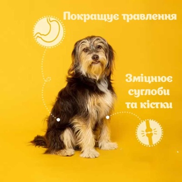 Ласощі для собак Pawfect ананас - Heavenly Pineapple Treats