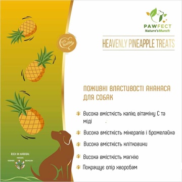 Ласощі для собак Pawfect ананас - Heavenly Pineapple Treats