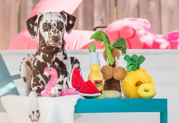 Игрушка для собак Tropical Paradise - Pineapple Pet Play