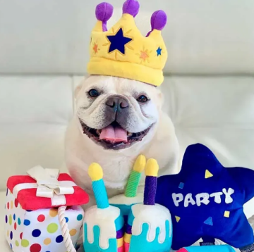 Игрушка для собак Party Time Collection - Party Present Pet Play (Standart) 