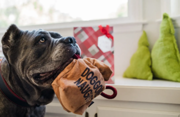 Игрушка для собак Мешочек Bag of Coals Pet Play 