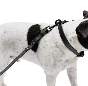 Повідець вільні руки для собак Cloud7 Hands-Free-Leash Ipanema Чорний