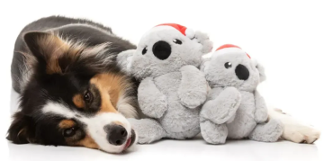 М'яка іграшка для собак FuzzYard Коко Коала