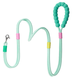 Повідець для собак Maogoublue Marshmallow Smart Dog Leash-Mint Green