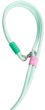 Повідець для собак Maogoublue Marshmallow Smart Dog Leash-Mint Green