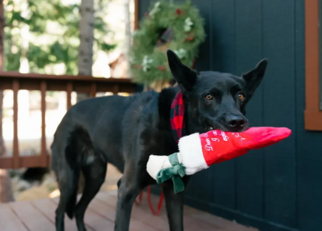 Игрушка для собак Merry Woofmas Good Dog Stockingx Pet Play