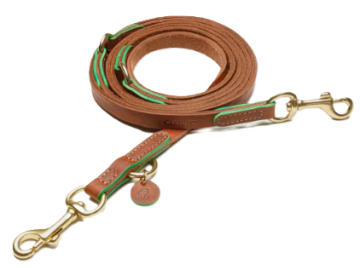 Повідець для собак Cloud7 Prince Park Зелений