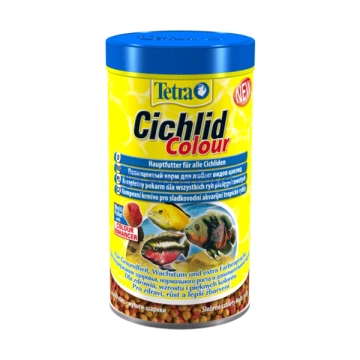 Tetra Cichlid Colour
