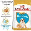 Royal Canin Bulldog Puppy (Junior)
