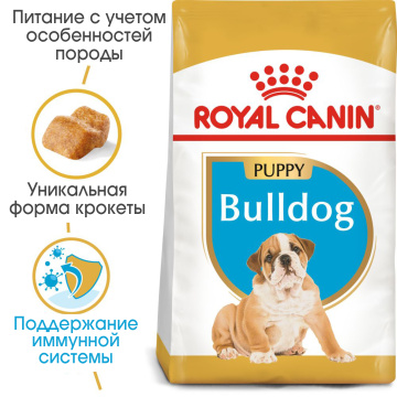 Royal Canin Bulldog Puppy