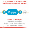 Royal Canin French Bulldog Puppy (Junior)