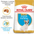 Royal Canin French Bulldog Puppy (Junior)