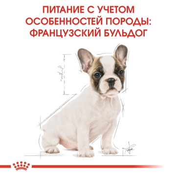 Royal Canin French Bulldog Puppy