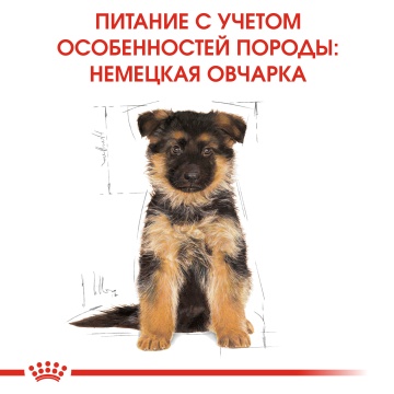 Royal Canin German Shepherd Puppy