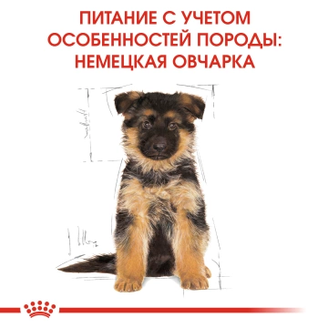 Royal Canin German Shepherd Puppy