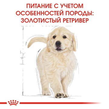 Royal Canin Golden Retriever Puppy