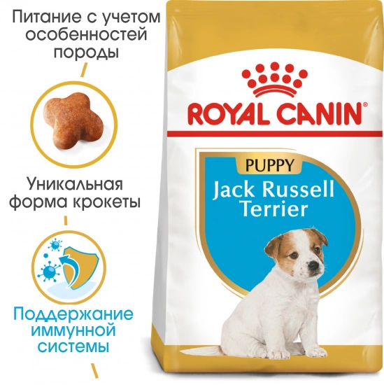 Royal Canin Jack Russel Puppy