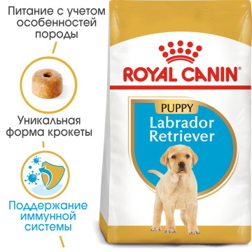Royal Canin Labrador Retriever Puppy