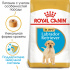 Royal Canin Labrador Retriever Puppy (Junior)