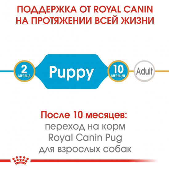 Royal Canin Pug Puppy