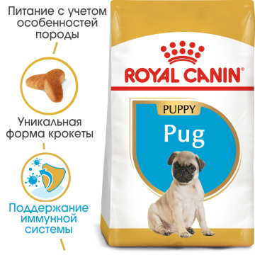 Royal Canin Pug Puppy
