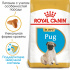 Royal Canin Pug Puppy (Junior)