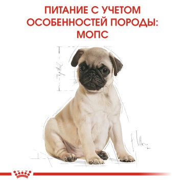 Royal Canin Pug Puppy