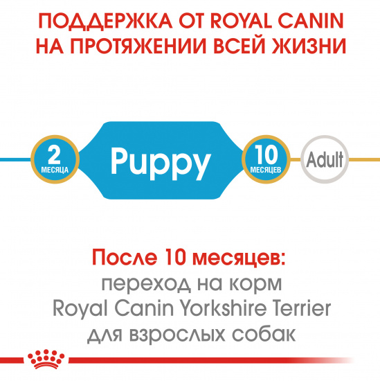 Royal Canin Yorkshire Terrier Puppy (Junior)