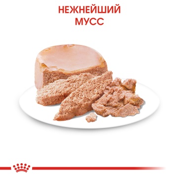 Royal Canin Starter Mousse Mother & Babydog