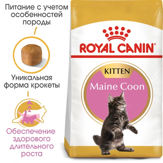 Royal Canin Maine Coon Kitten