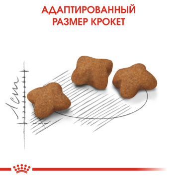 Royal Canin Kitten Sterilised