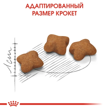 Royal Canin Kitten Sterilised