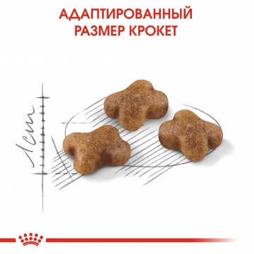 Royal Canin Kitten