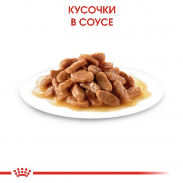 Влажный корм для котят  Royal Canin Kitten Instinctive в соусе