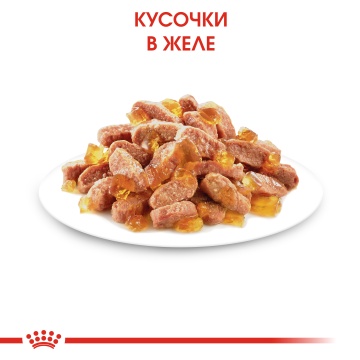 Консервированный корм для котят   Royal Canin Kitten Instinctive в желе