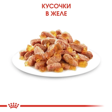 Консервований корм для кошенят Royal Canin Kitten Instinctive в желе
