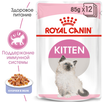 Консервированный корм для котят   Royal Canin Kitten Instinctive в желе