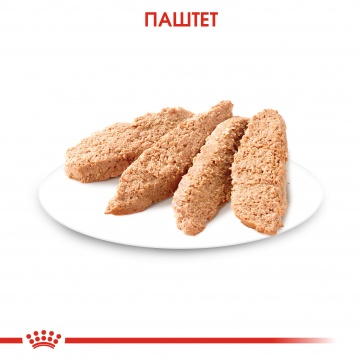 Консервированный корм для котят (паштет)  Royal Canin Kitten Instinctive Loaf