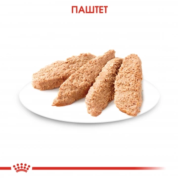 Консервированный корм для котят (паштет)  Royal Canin Kitten Instinctive Loaf