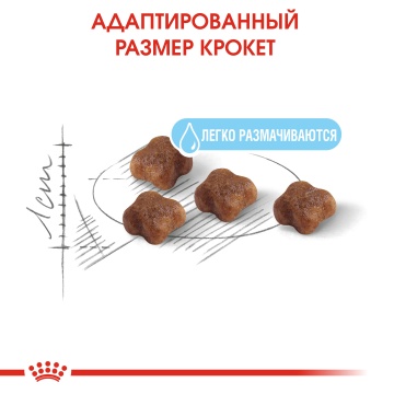 Royal Canin Mother & Babycat