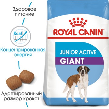 Royal Canin Giant Junior Active