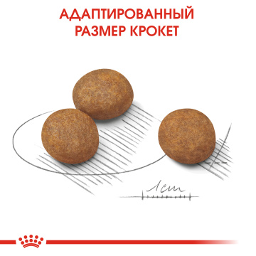 Royal Canin Maxi Puppy