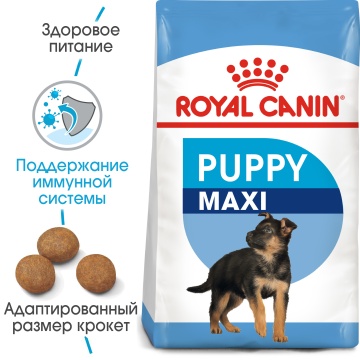 Royal Canin Maxi Puppy
