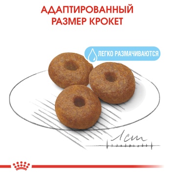 Royal Canin Maxi Starter