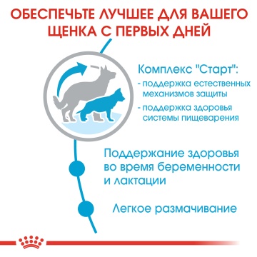 Royal Canin Maxi Starter