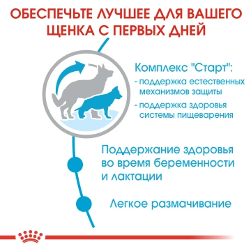 Royal Canin Maxi Starter