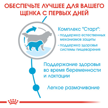 Royal Canin Giant Starter