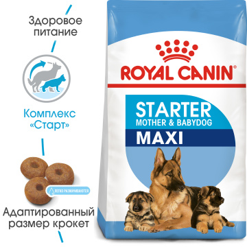 Royal Canin Maxi Starter