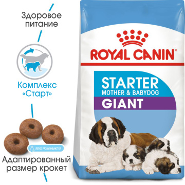 Royal Canin Giant Starter
